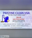 Carpet Cleaning Mold and Mildew Removal