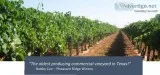 Oldest Commercial Vineyard in Texas For Sale