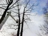 Find an expert for Landscape Design and Maintenance in Rockland 