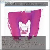 Best Oral pathology slides services in Delhi  India