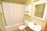 1br - 621ft2 - Very Low Move in Call now (Carbondale)