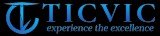 TICVIC  IT Consulting Services and IT Outsourcing Company in Ind