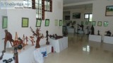 Incredible Collection Of Driftwood Pieces At Kumarakom  Bay Isla