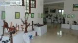 Incredible Collection Of Driftwood Pieces At Kumarakom  Bay Isla