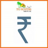 Digital Marketing Executive Jobs In TFG