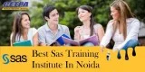 Get Industrial Training in SAS