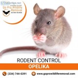 Rodent control Opelika