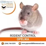Rodent control Opelika