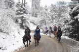 Choose the Best and Hygenic Taxi Service in Shimla