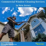 Hire best commercial window cleaning services in Pinebrook