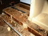 Zero defect Biochem pest control Trichy