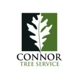 A Complete Tree Removal Service in Charleston SC