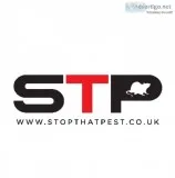 Commercial Bird Control in Birmingham - STP Pest Control