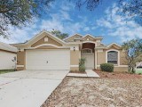 Welcome to 1202 Pongo Ln Valrico FL 33594