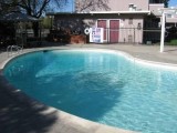 2br - 850ft2 - Downstairs  2 Bedroom  FREE Hot Water  Clovis (36