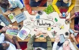 Pensacola Seo Services