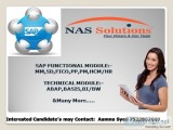 SAP TRAINING WITH EXPERTS AT NAS TRAINING