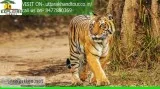 Wildlife Tour In Corbett Park