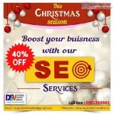 Search Engine Optimization Services in Indore