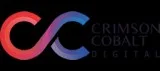 Web Design And Development Company In Pune