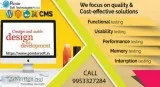 Website Design Delhi  Website Design company in Delhi