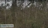 0.32 Acres for Sale in Middleburg FL