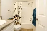 2br - 1100ft2 - Available Now 2 Bedroom 2 Bath W Vanity Area Har