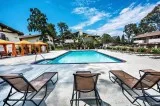 2br - 1050ft2 - Luxury 2 bedroom and 2 bath Apartment (Westlake 