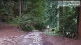 .20 Acres For Sale In Felton CA