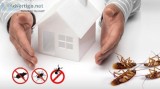 Cockroach Control in Bradenton