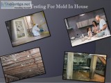 Mold Remediation Services-allmoldsolu tions