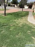 Just a weed eater and a blower