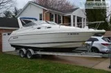 2002 Wellcraft 2600 Martinique