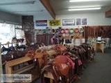 Muley Bluz Saddle and Tack