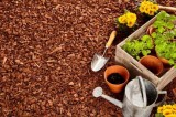 Odyssey Landscape Supply large varieties of mulch for residentia