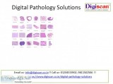 Interested in the Best Digital pathology solutions online in Del