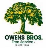 NYC Local Tree Company