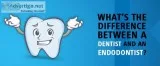 What&rsquos the difference between a Dentist and an Endodontist