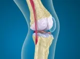 Knee Pain Ayurvedic Oil - Opigesic pain oil