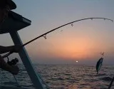 Private Boat Tour Split  Mayer Charter