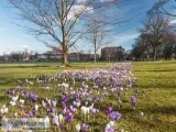 Holiday lets harrogate