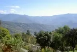 family holiday packages in India