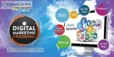 Best Digital Marketing Training Institute in Noida