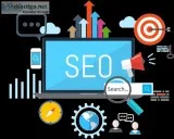 Best SEO Training in Noida