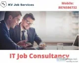 IT Job Consultancy in Pune