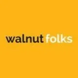 Social Media Marketing Agency In Mumbai - Walnut Folks