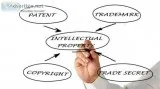 Go With Intellectual Property Rights India to Ensure the Safety 