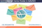 Bulk sms service provider in ncr