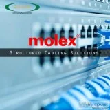 Radiant is Molex Supplier Partner and Distributor of Structured 