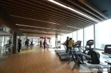 M3M Merlin Luxury 3BHK Apartments at Golf Course Ext Road